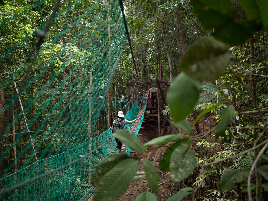 Borneo Tropical Rainforest Resort Miri Ngoại thất bức ảnh