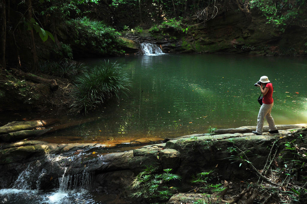 Borneo Tropical Rainforest Resort Miri Ngoại thất bức ảnh